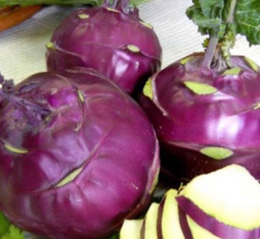 Piante & sementi: 30 SAMEN GRAINES SEMI  Blauer Kohlrabi – Nuovo e nell'imballaggio originale da Rovio venduto da POSITIFFARTandPLANTS 6