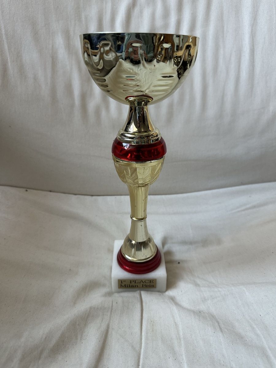 Altre raccolte & rarità: Goldener Pokal – Usato da Basel venduto da ari_f26x