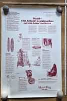 Musik Hug Jubiläums-Inserat Nr.5, Vintage Poster!
