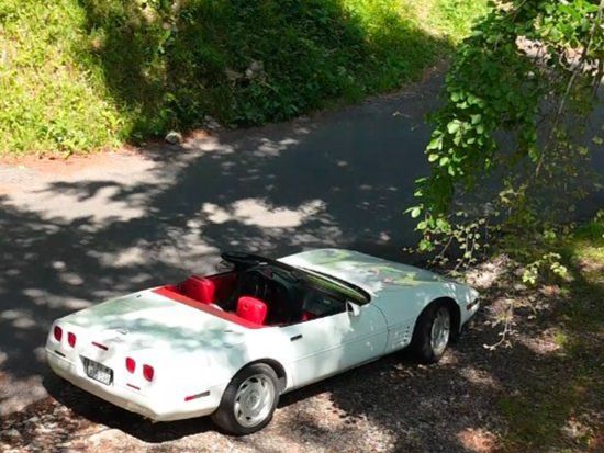 Chevrolet Automobili: Corvette c4 – Usato da Chernex venduto da Lama1822