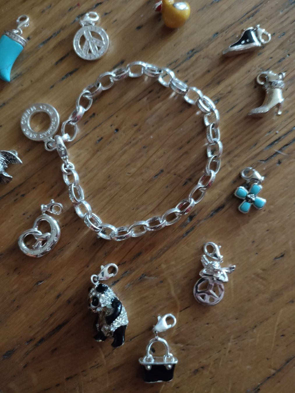 Thomas Sabo Armbänder & -reifen: Thomas Sabo Charmarmband – Gebraucht aus Luzern von Luzern_Energy 1