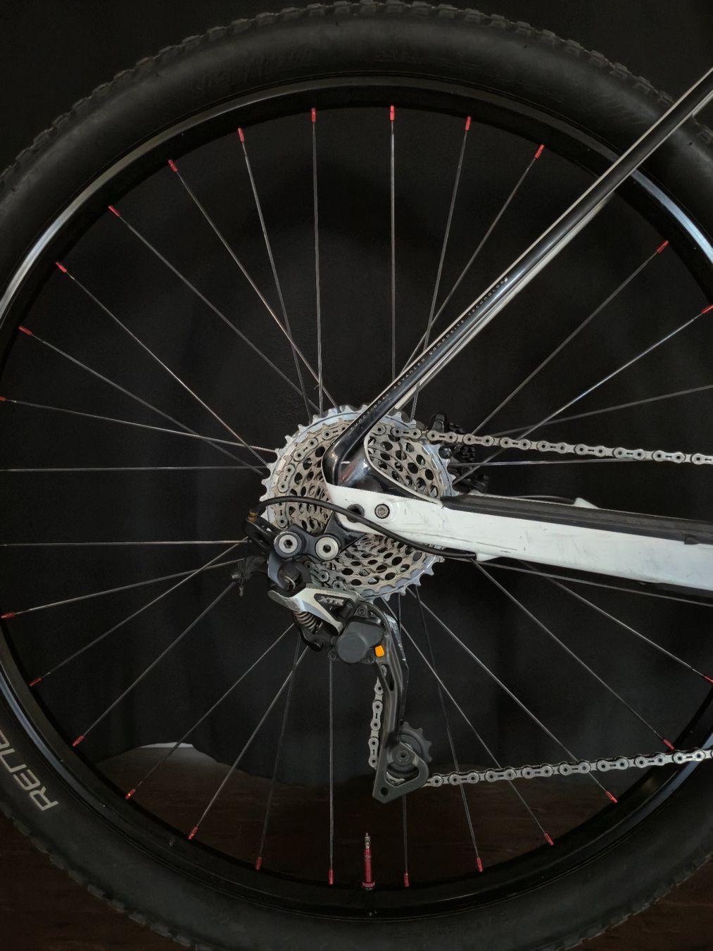 Specialized Biciclette: Custom-Built Specialized Carbon Hardtail 29” - size L - 10.3 – Usato da Kriens venduto da dum_27ww 2