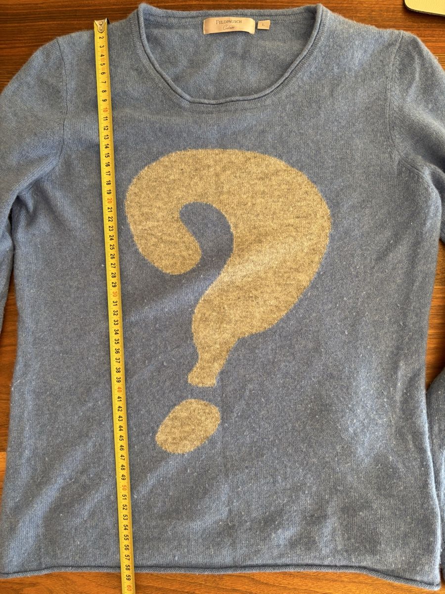 Pullover & Sweatshirts: Pullover Kaschmir Feldplausch Gr. L – Gebraucht aus Winterthur von san_wd8j 4