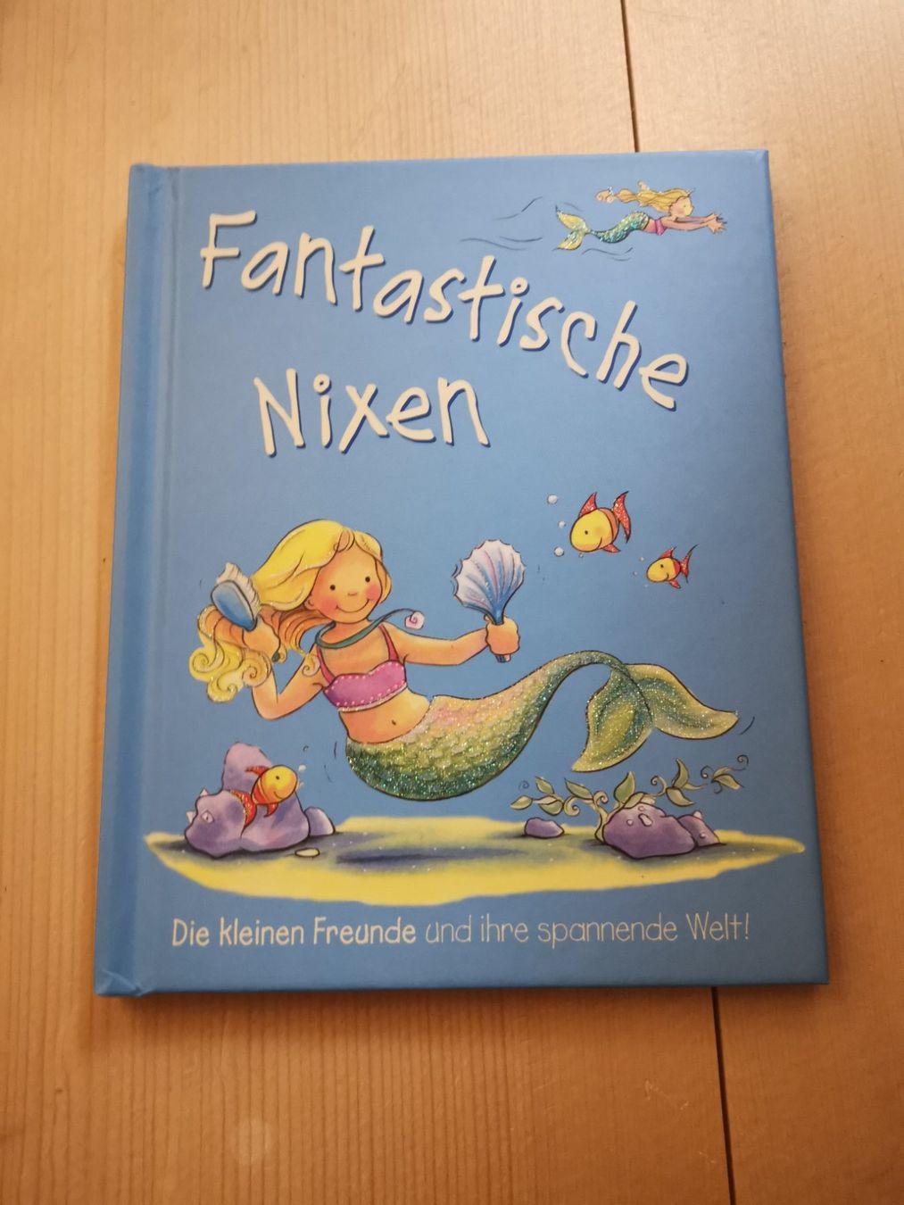 Bücher: Fantastische Nixen Kinderbuch – Gebraucht aus Fankhaus (Trub) von sun_7677