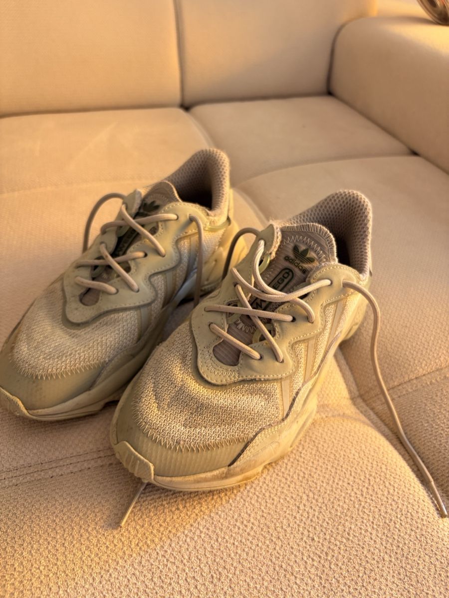 Adidas Chaussures femmes: Adidas Sneaker grün Grösse 38 – D'occasion à Kriens par dajaxoxo