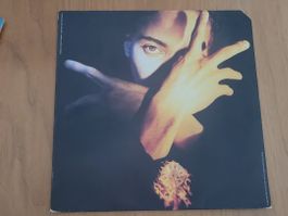 LP Terence Trent D'Arby