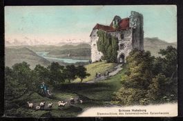 Habsburg  Schloss  1910