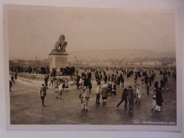 Zürichseegfrörne 1929 Zürich AK mit dem Zürileu