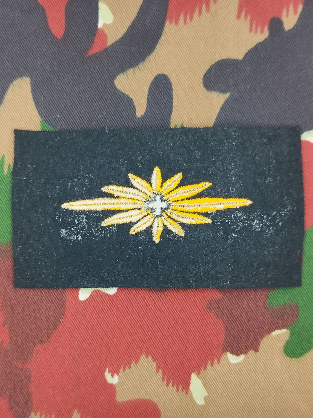 Schweizer Armee Placchette & Badge: Spezialistenabzeichen Generalstab, Versuch, Variante 2 – Usato da Bauma venduto da SwissMilitaria 1