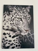 Edles Wandbild Leopard, Schwarzweiss Look,Top Zustand! 50x69