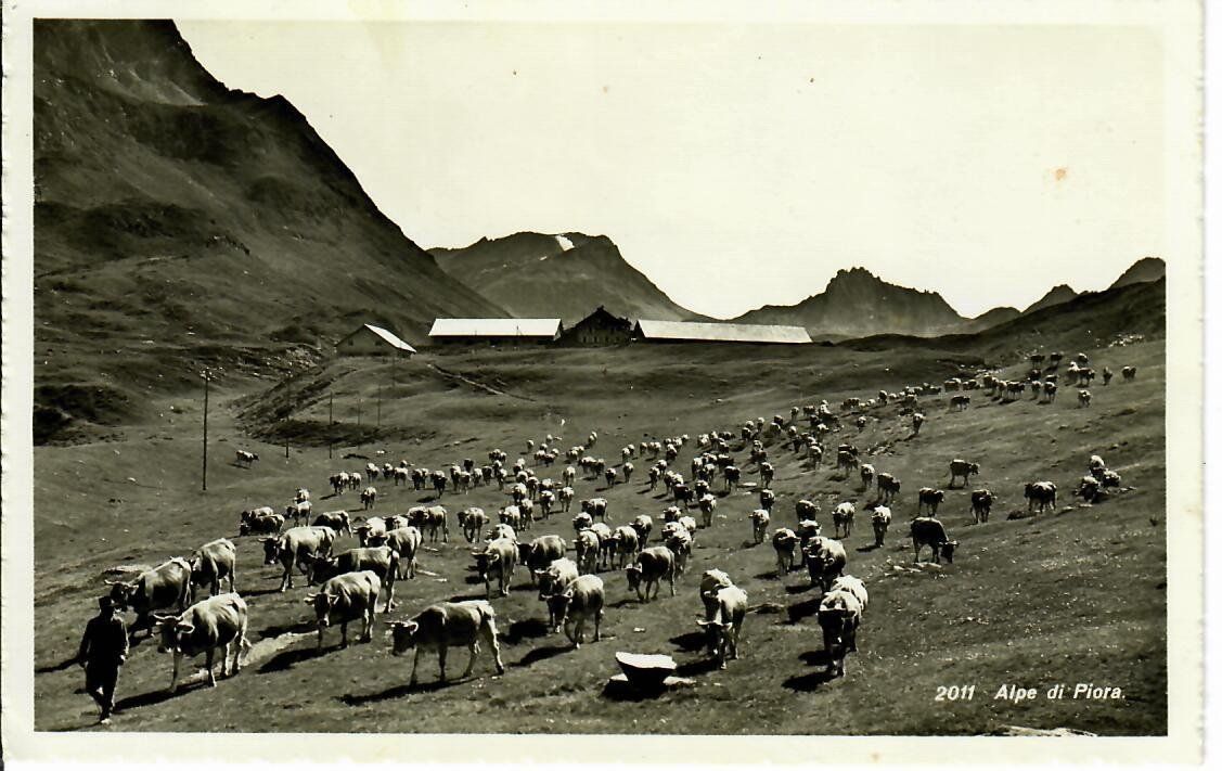 Cartoline postali: Alpe di Piora – Usato da Hochdorf venduto da Ziegel-16
