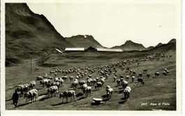 Alpe di Piora
