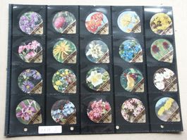Serie   21 B            Alpenblumen               Gastro