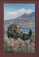 MEGGEN - Schloss Habsburg mit Rigi - 1934