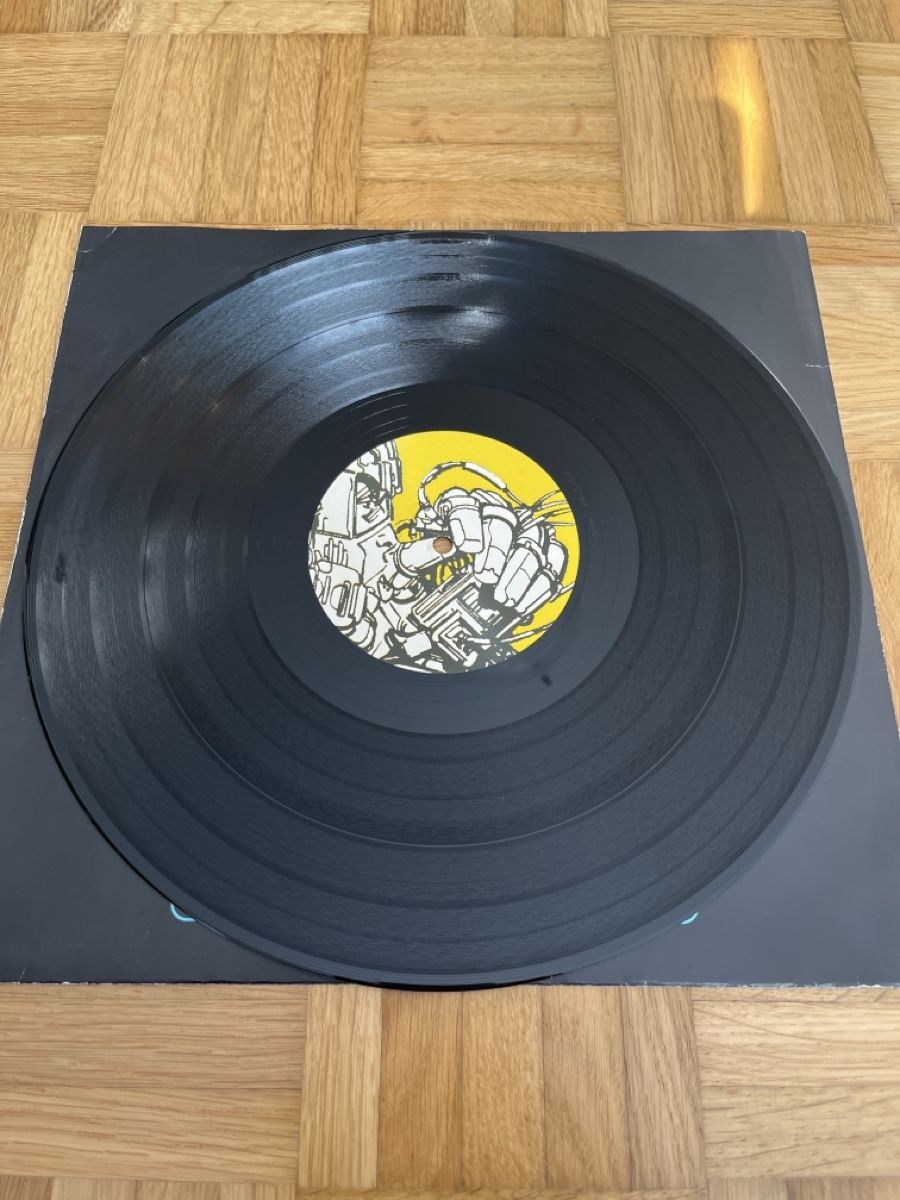Dischi in vinile: Arpeggiators Hard Trance / Trance Vinyl – Usato da Wangen b. Olten venduto da break72 3