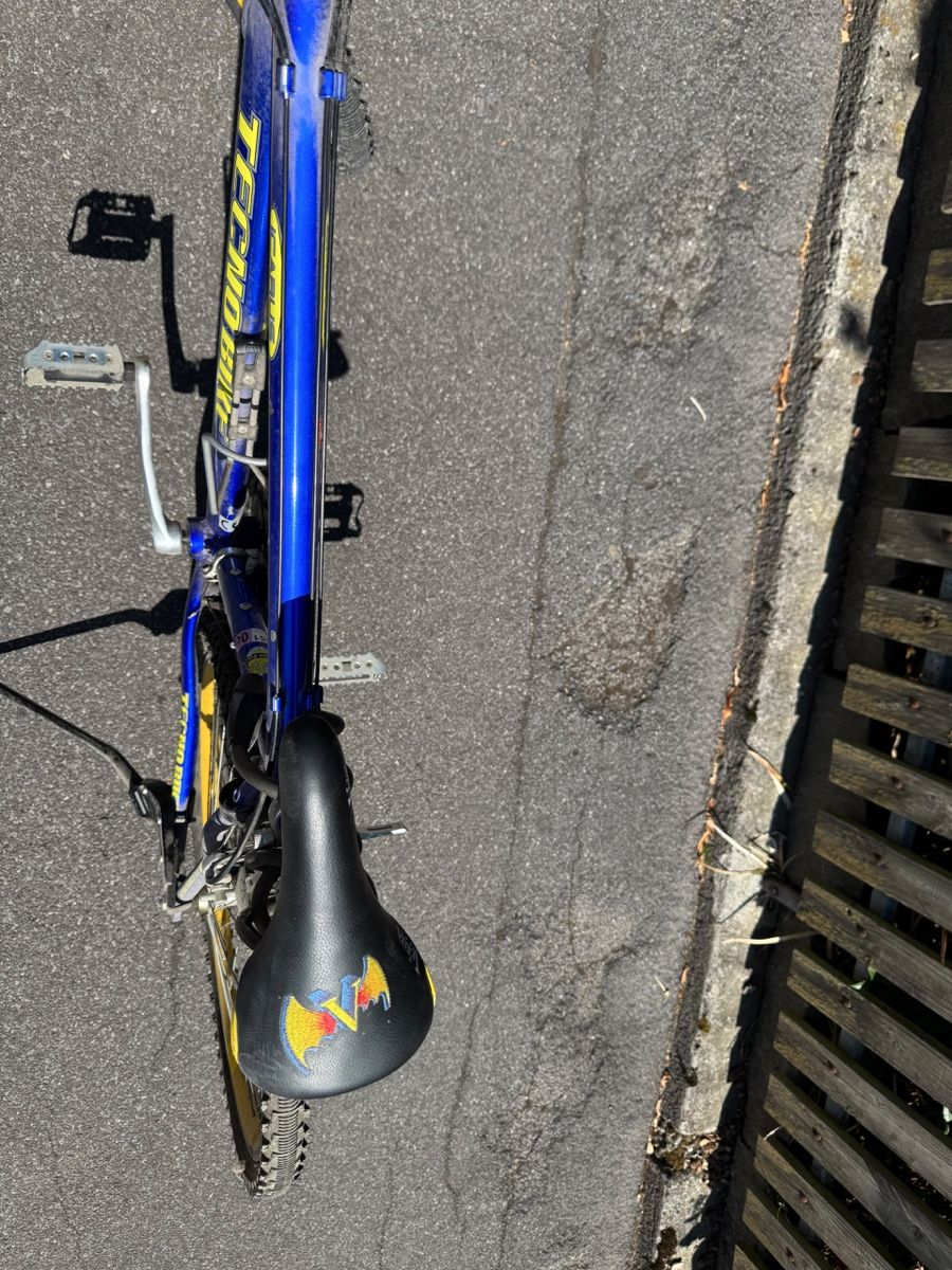 Velos: Kindervelo (ca. ab 12j.) – Defekt aus Fribourg von Papavero_ 5