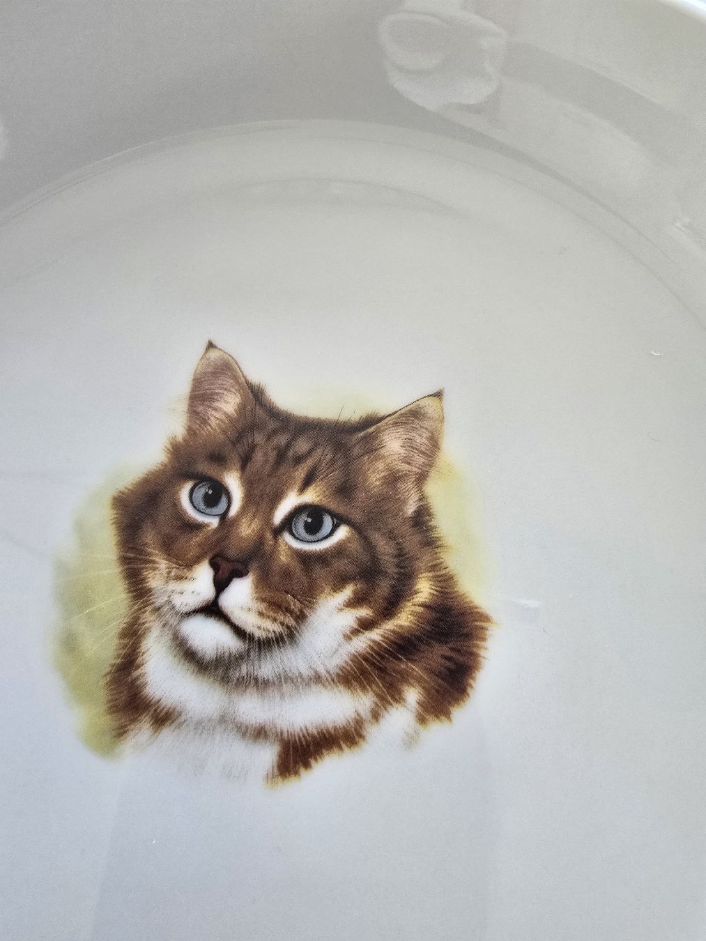 Assiettes: Vintage Katzen Teller Langenthal 22cm – Neuf (Voir description) à Thal par Vintagekeller 2