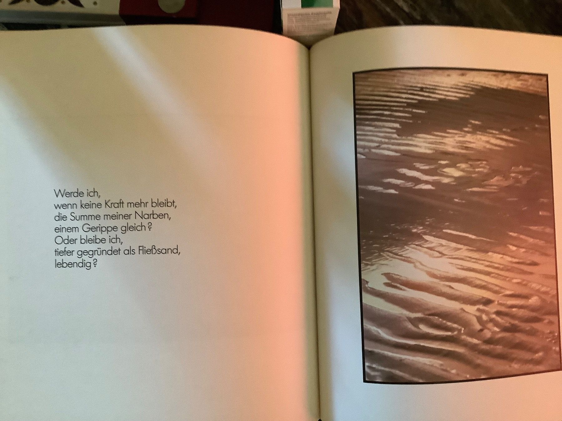 Libri: Wasserzeichen – Usato da Zürich venduto da Albatros57 4