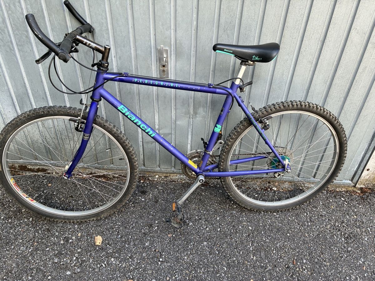 Bianchi Biciclette: Mountainbike Bianchi – Usato da Herzogenbuchsee venduto da filoferro