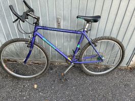 Mountainbike Bianchi