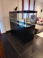 Aquarium 600l 