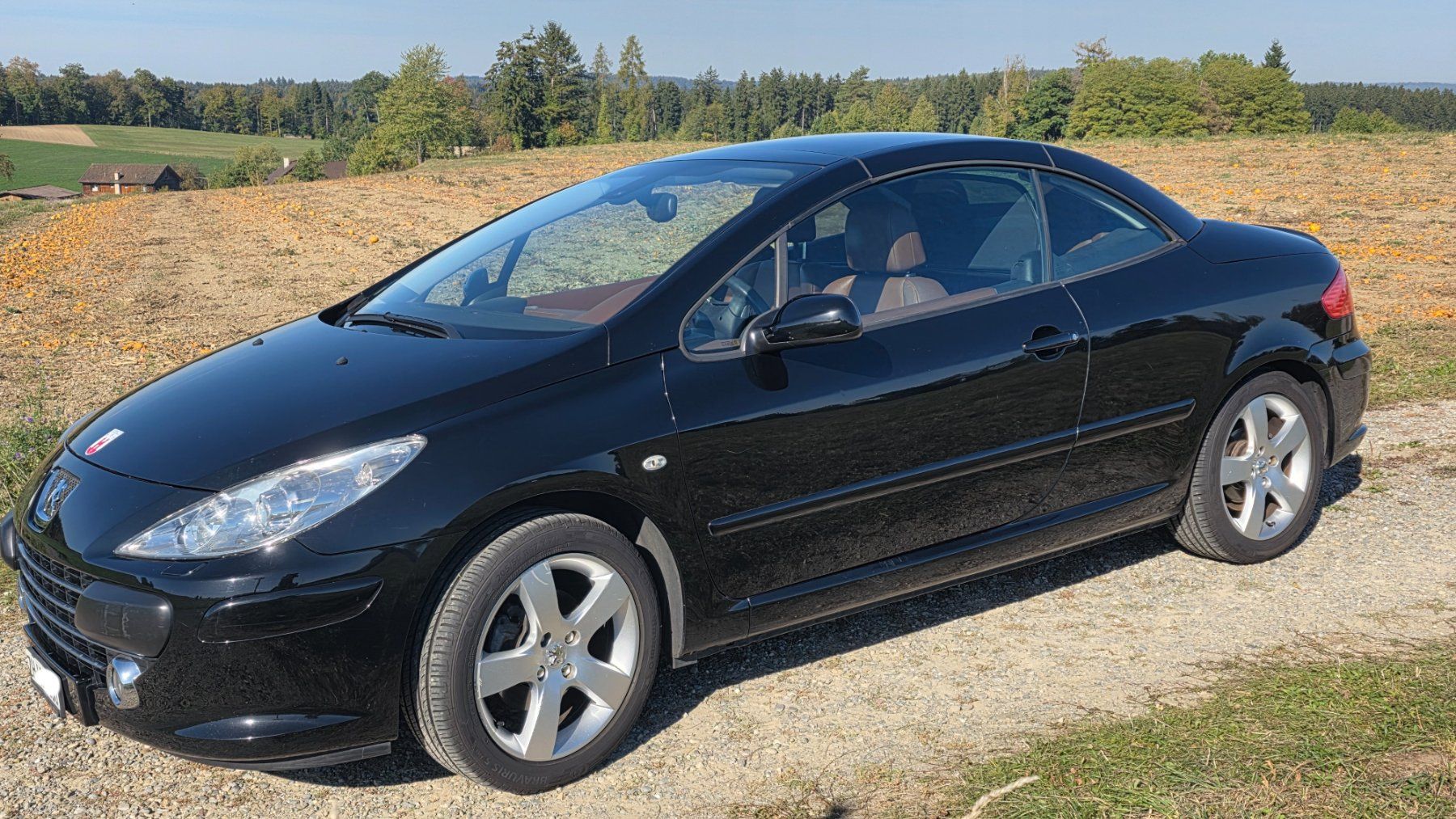 Peugeot Automobili: Peugeot 307 CC 2.0 16V Dynamic – Usato da Winterthur venduto da Wnidi