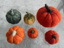 Dekoration Kürbisse gefilzt 6er Set Herbstdeko