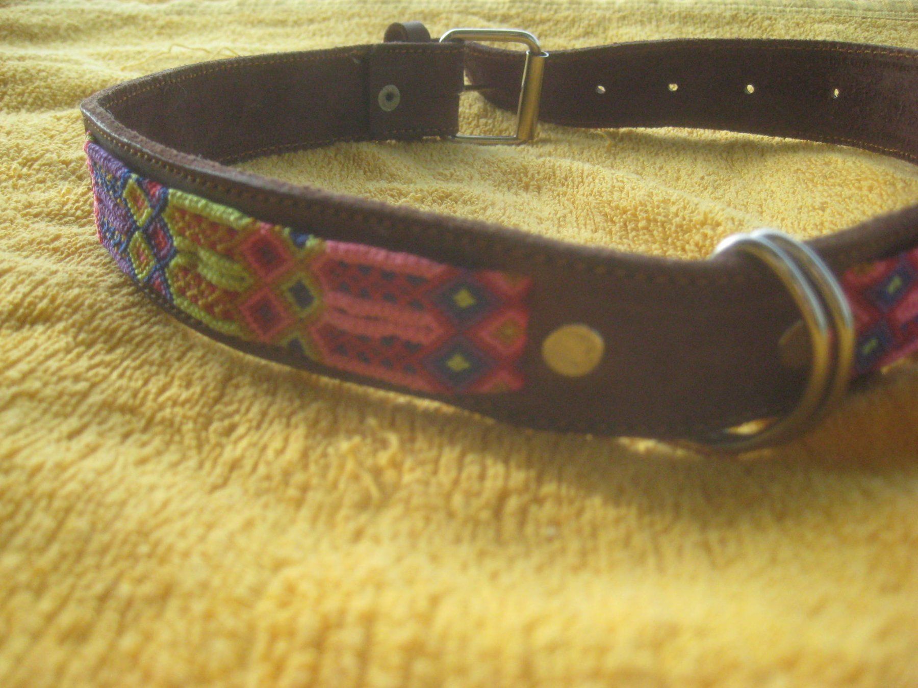 Leine & Halsband: HUNDE HALSBAND – Neu (gemäss Beschreibung) aus Uster von flocke1 3