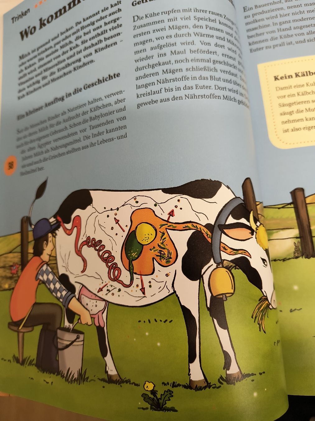 Libri: Wo kommt das her? Kinderbuch – Usato da Schöfflisdorf venduto da kin_2dp9 2