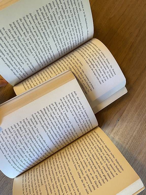 Libri: Stormbreaker & Gemini-Project - Horowitz Reihe – Usato da Adliswil venduto da 8lizzy8 4