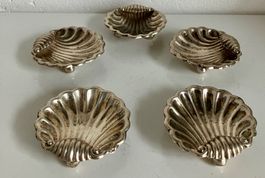 Set von 5 Silber Schalen 925  in Form von Jakobsmuschel