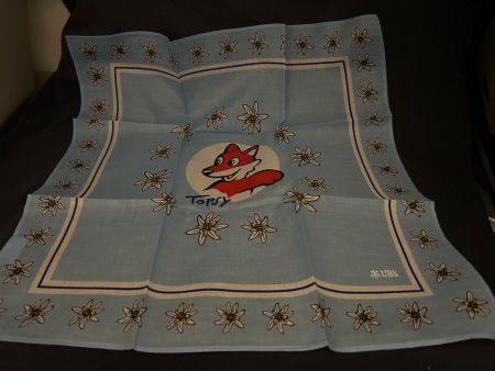 Foulard  mit Edelweissmotiv
