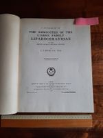 Fossilien Ammoniten Buch über Liparoceras