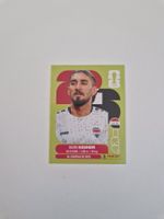 Panini Sticker IRQ5