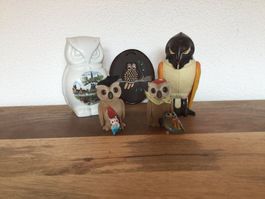 Eulen Sammlung