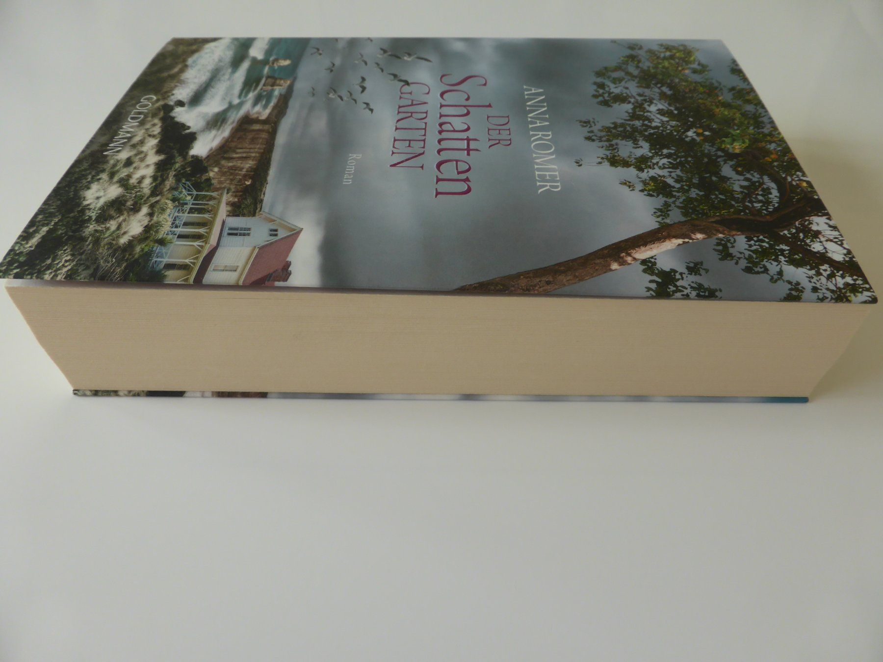 Libri: Anna Romer " Der Schattengarten" – Usato da Trimmis venduto da bergamo10 3