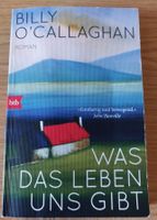 Billy O'Callaghan. Was das Leben uns gibt. Roman.