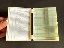 Set mikroskopische Präparate, 30 Stück