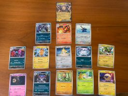 14 Pokémon Karten Set – Geschenkidee mit Magnezone ex