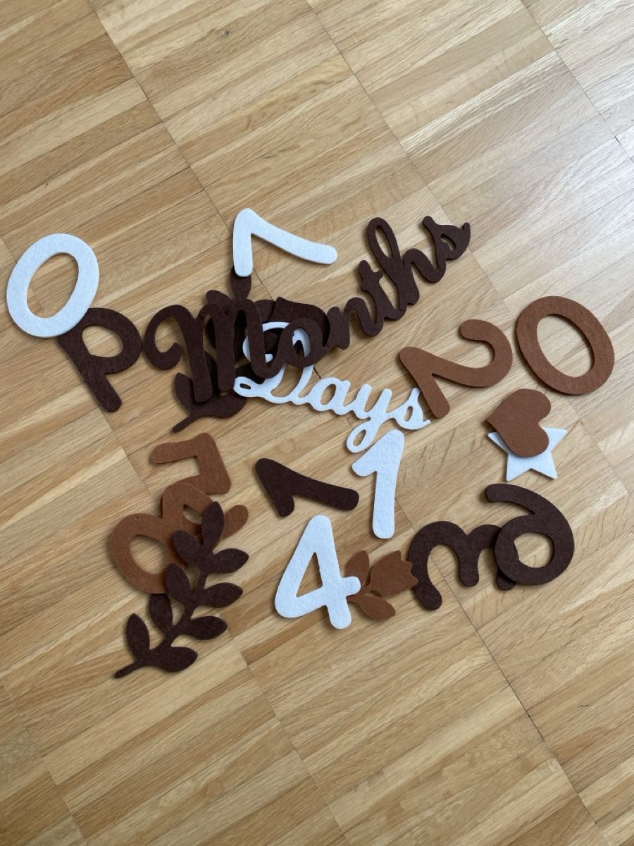 CD: 1 Set Milestone Foam Growth Numbers Months Days – Nuovo (secondo la descrizione) da Dietlikon venduto da Kitaa 3