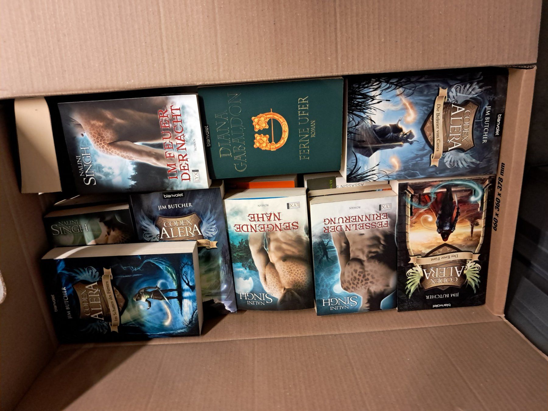 Libri: Fantasy Romane - Bücherkisten > 250 Bücher........... – Usato da Oberwil BL venduto da kerim91