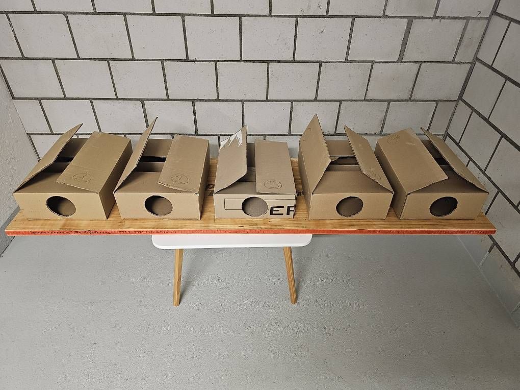 Giochi: Boxen des Grauens Spiel – Usato da Münchenbuchsee venduto da Bussistyle 4