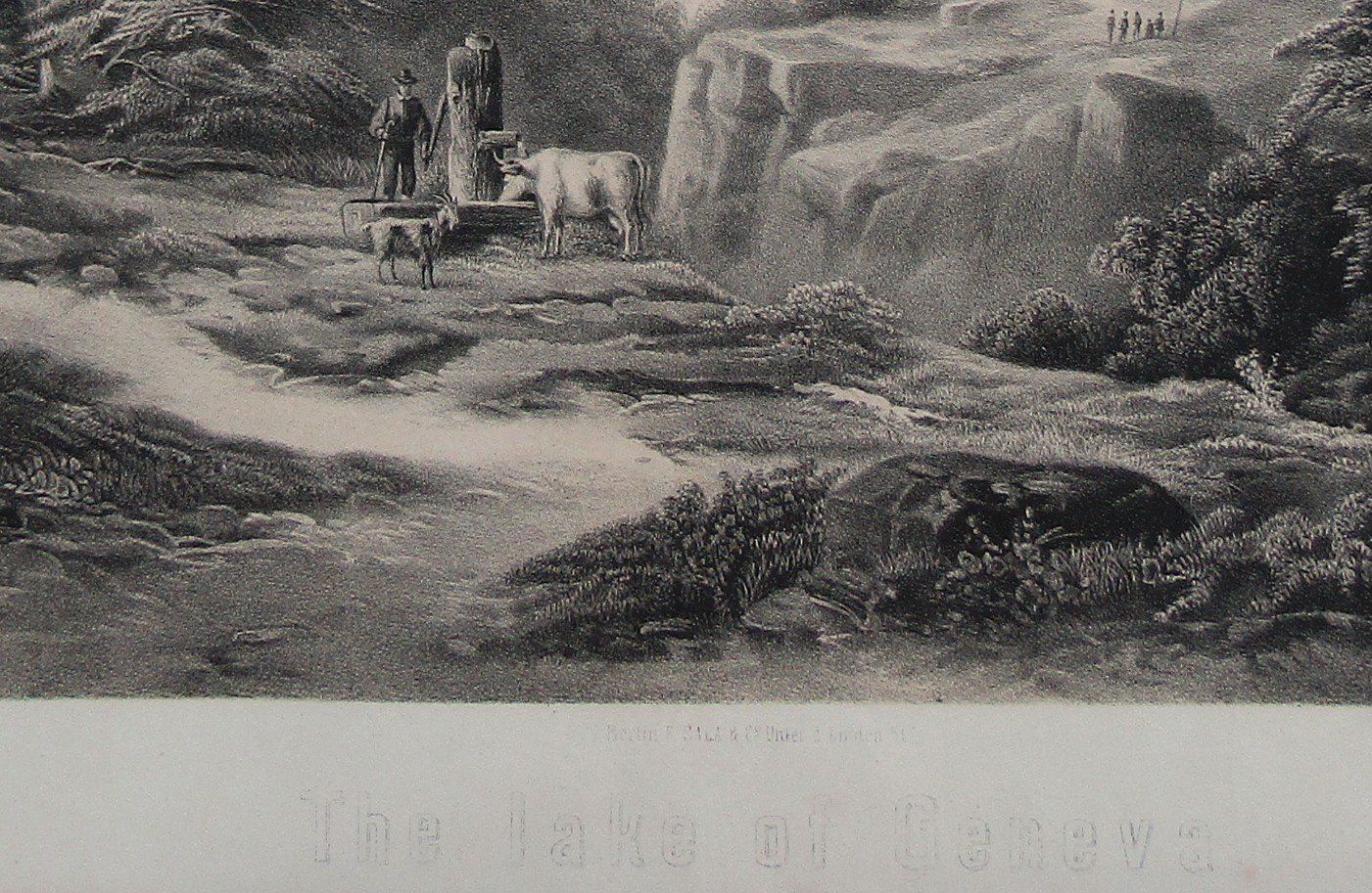 Incisioni: Genfersee seltene Lithographie bei Sala – Usato da Rafz venduto da Helvet32 2