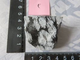 Schneeflocken Obsidian roh