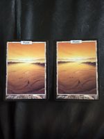2x Plains Full Art, Unhinged