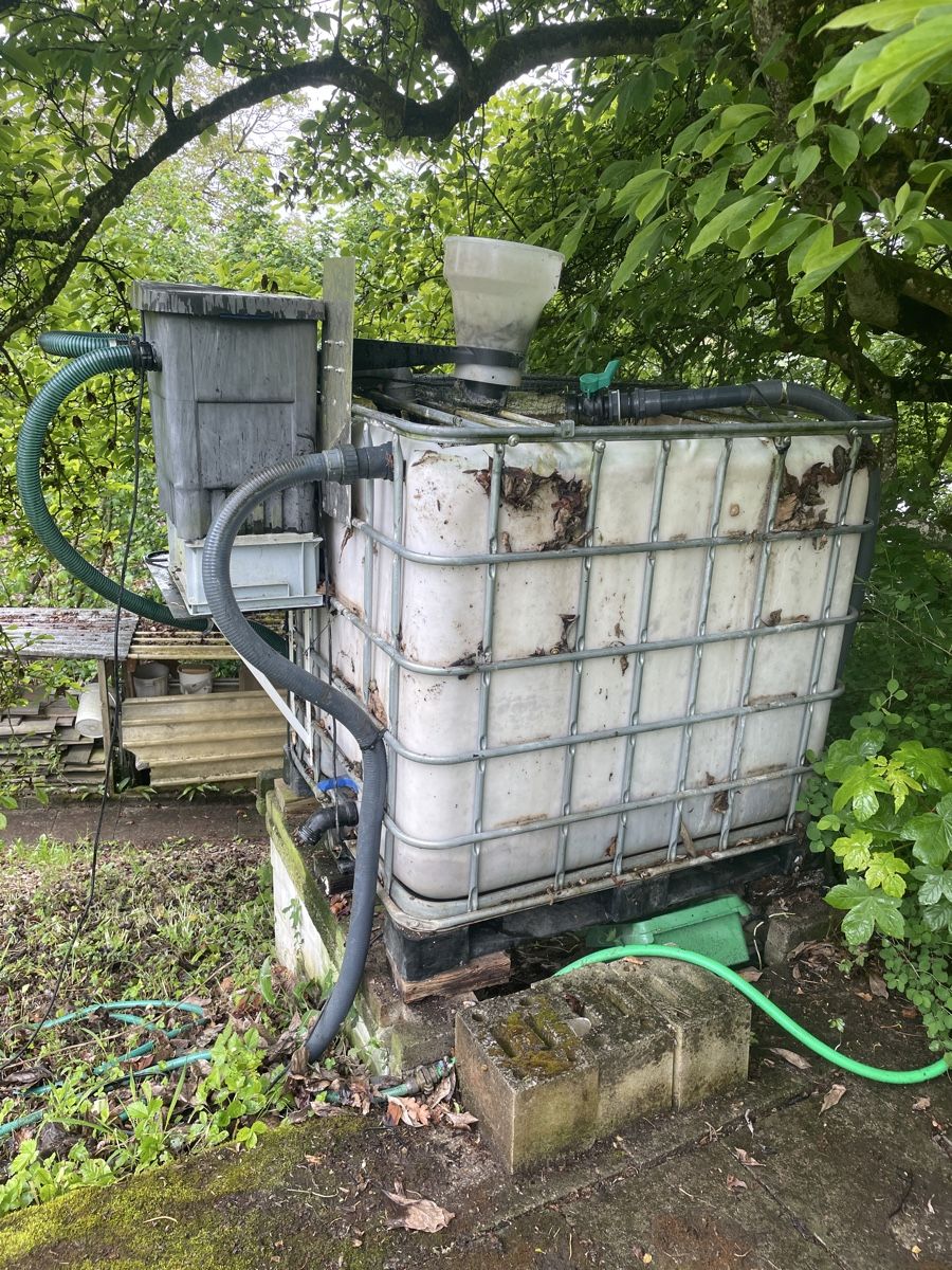 Altro: Aquaponic Anlage – Usato da Möriken AG venduto da Sammler06 6