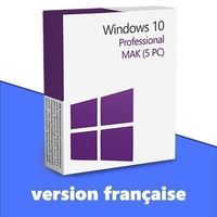 Windows 10 Professional (5 PC)