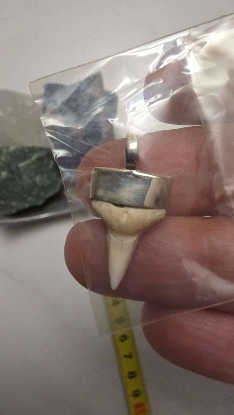 Ciondoli: Echter Haifischzahn in Silber gefasst – Nuovo e nell'imballaggio originale da Fislisbach venduto da Eye-Arts 2