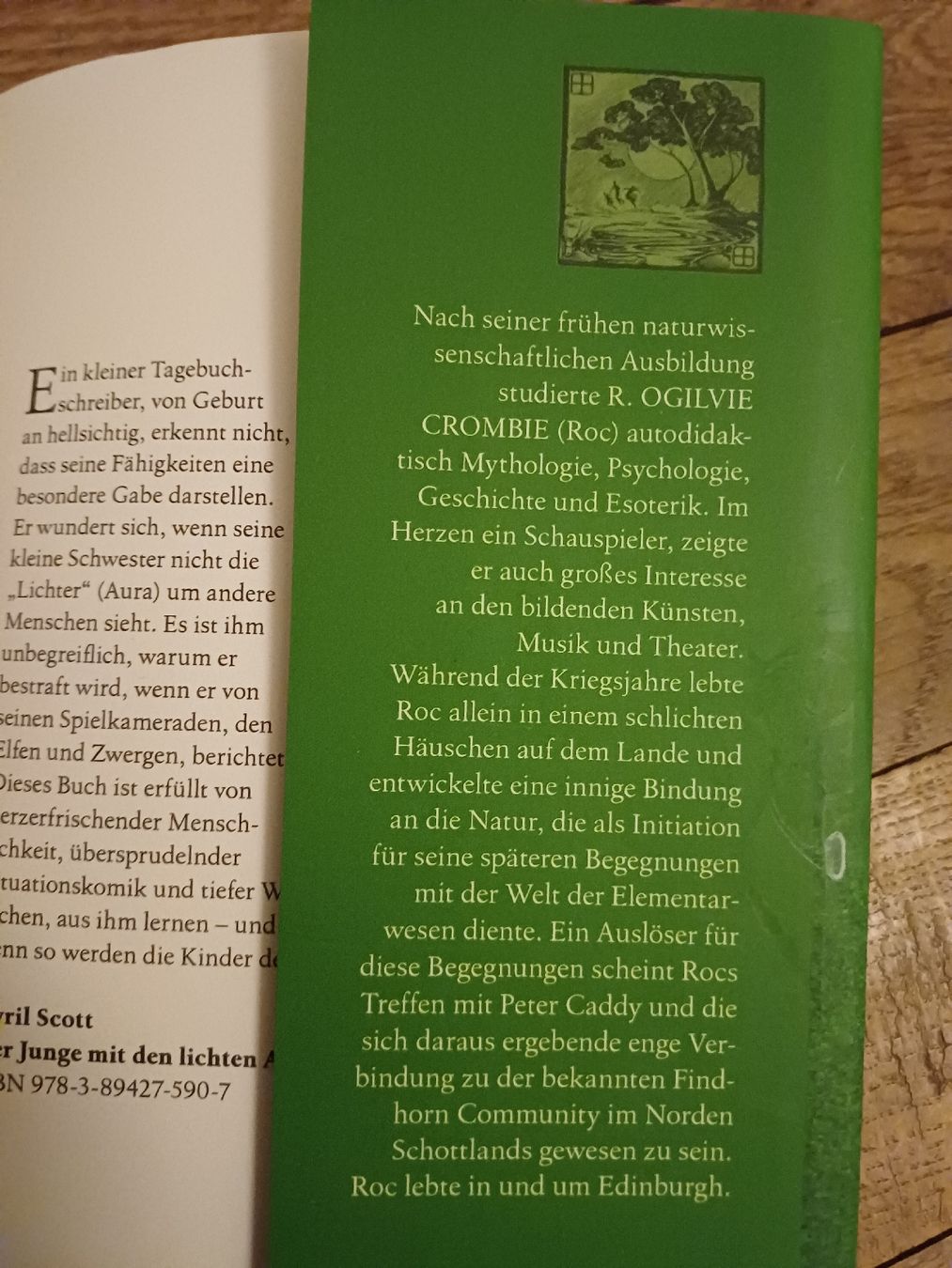 Libri: Buch: Der Mann, der mit den Elfen sprach, von R. Cromble – Nuovo (secondo la descrizione) da Bern venduto da rikivip 3