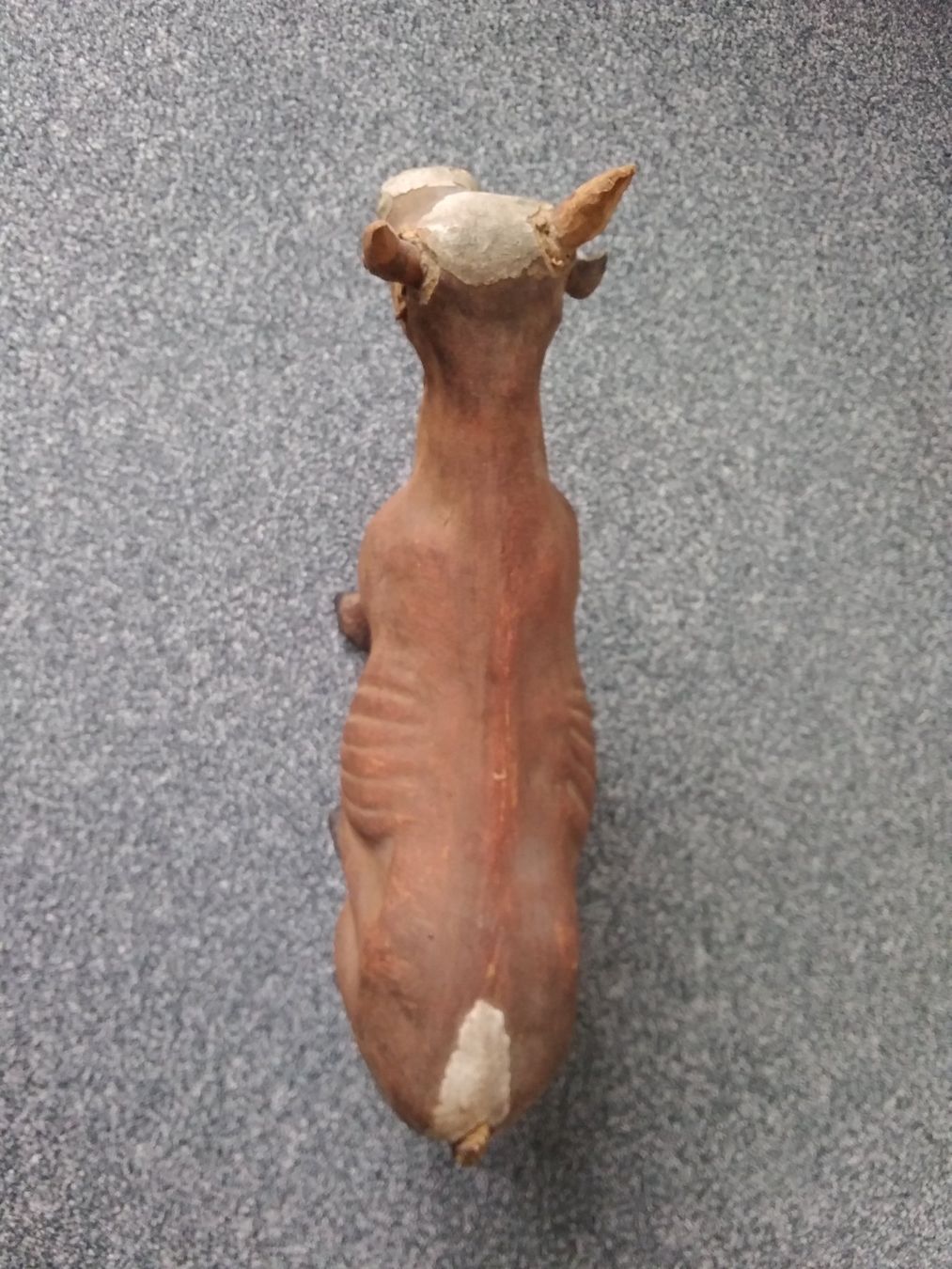 Statuette: Appenzeller Kuh antik – Usato da Appenzell venduto da lama19 7